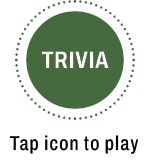 Trvia open