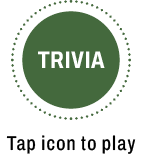 Trvia open