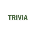 Trvia open